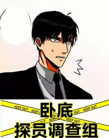 卧底探员调查组