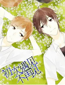 初次遇见不再见