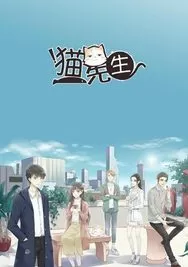 猫先生