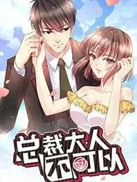 总裁大人不可以