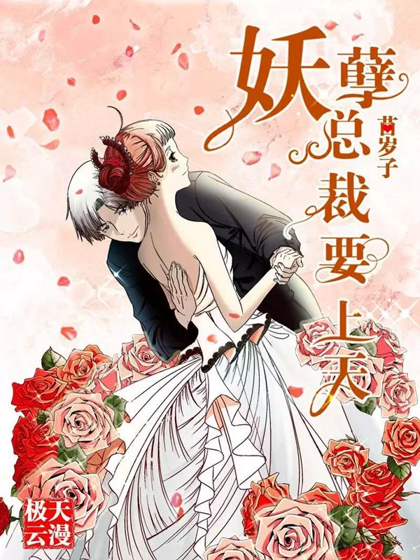 妖孽总裁要上天