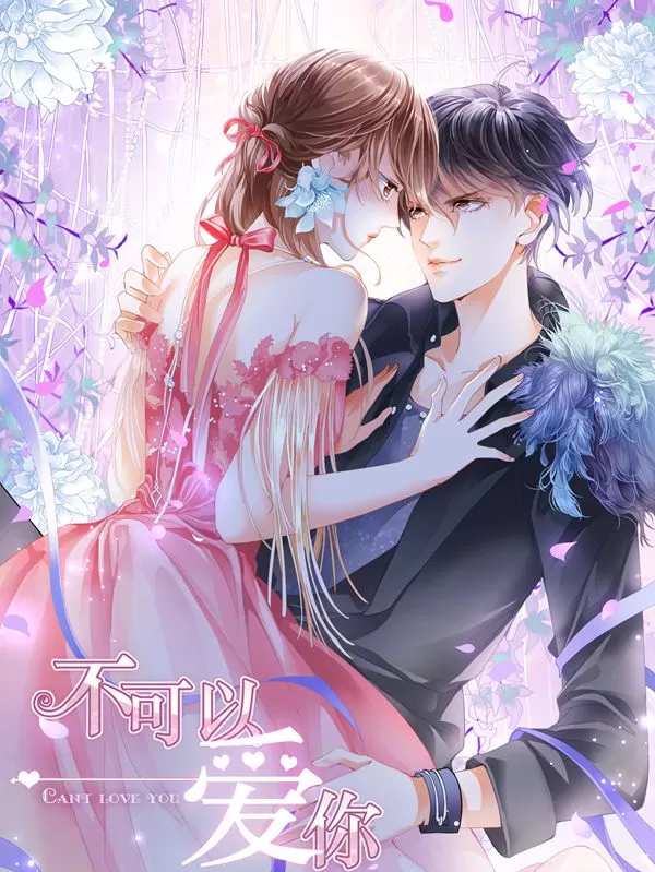 不可以爱你