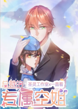 总裁的专属空姐