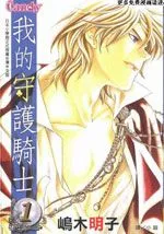 我的守护骑士