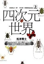 四次元世界
