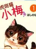 虎斑猫小梅