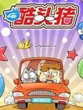 酷头猪