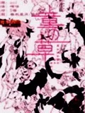童之草
