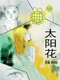 太阳花