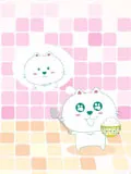 笨笨猫