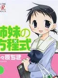 姐妹的方程式