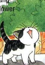 贱猫小叽的幸福生活