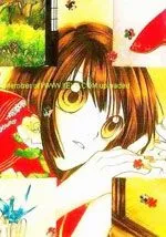 美丽花蝴蝶