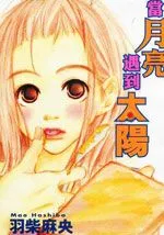 当月亮遇到太阳